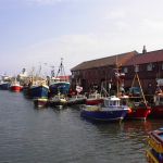 Scarborough2002p.jpg